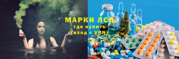 гидропоника Алзамай