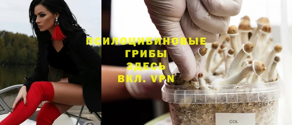 гидропоника Алзамай