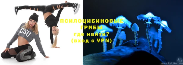 гидропоника Алзамай