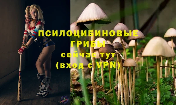 а пвп мука Алексин