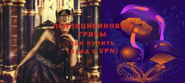 гидропоника Алзамай